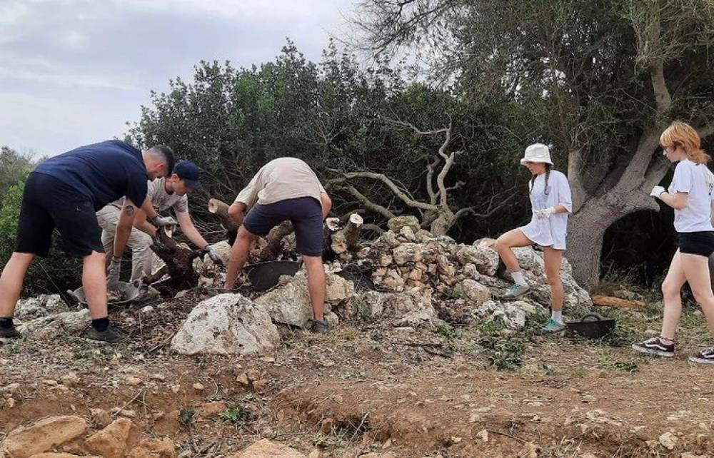 Proyecto Modular Son Catlar