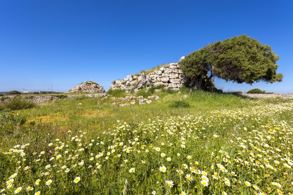 Montefí Talayotic Menorca