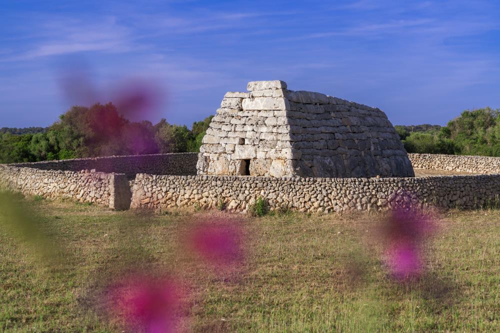 naveta des tudons